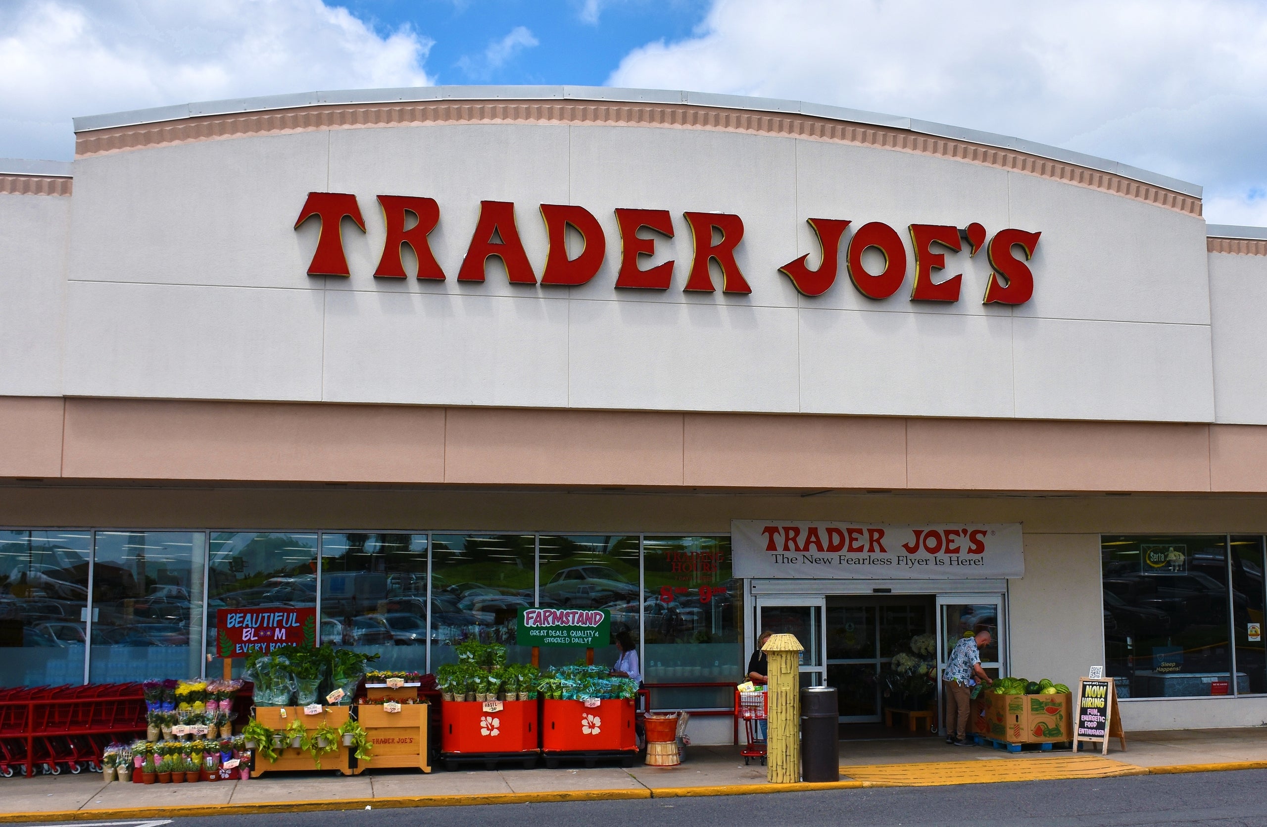 10 Must-Try Trader Joe's Snacks